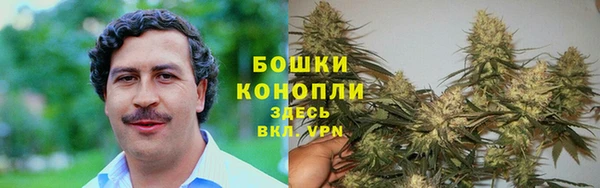 прущие крисы Балабаново