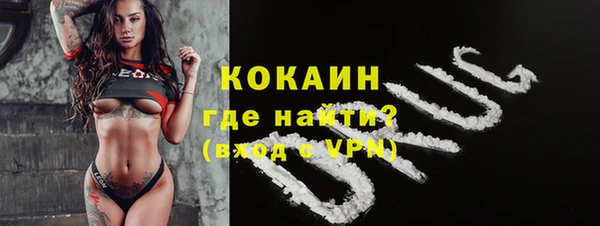 индика Армянск