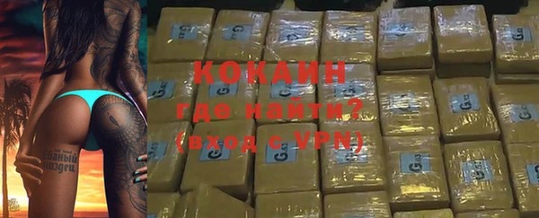 индика Армянск