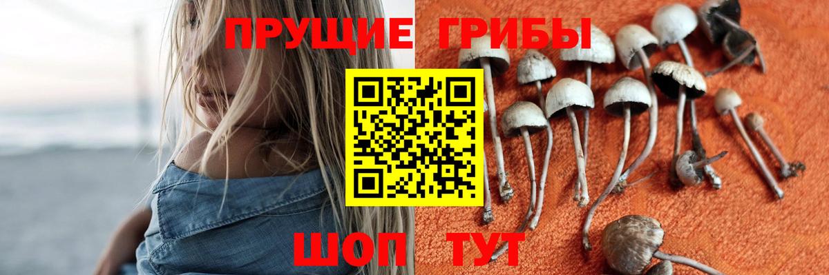 Галлюциногенные грибы прущие грибы  Псилоцибиновые грибы Psilocybine cubensis  Вход с VPN  Черкесск 